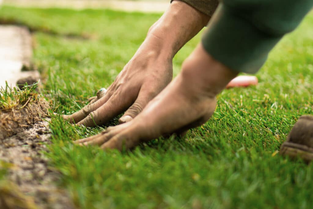 Penzkofer - Lanschaftsbau - Nahaufnahme beim Rasen Verlegen